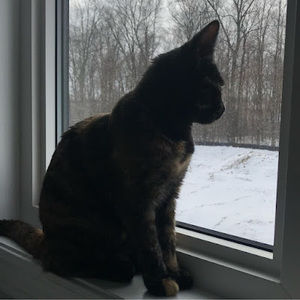 Meet your Posher, Ahmet